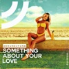 2drunk2funk - Something About Your Love (Club Mix)