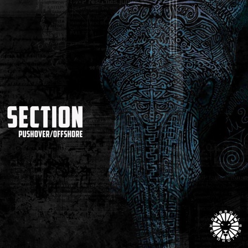 Pushover/Offshore - Single by SECTION