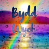 Bydd Wych - Single