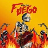 Fuego (Guaracha, Aleteo, Zapateo) artwork