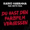 Du hast den Farbfilm vergessen - Radio Havanna & Dritte Wahl lyrics