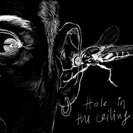 Hole In The Ceiling Single By The Smoking Kills On Apple Music