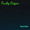 Funky Organ - Single album lyrics, reviews, download