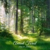 Ancient Forest - Single