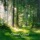 Ancient Forest