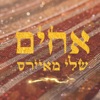 אחים - Single