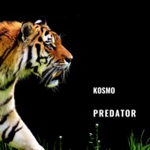 Predator artwork