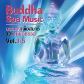 Buddha Spa Music, Vol. 3/5 (บรรเลงเพื่อสมาธิ และปฏิบัติธรรม) artwork