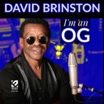 David Brinston - This is the Real Blues