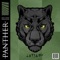 Panther - Aero Chord & TEKNiCOLOR lyrics