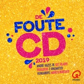 De Foute CD Van Qmusic 2019 artwork