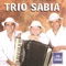 Forró Fim de Semana (feat. Trio Virgulino) - Trio Sabiá lyrics