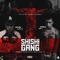 ShiShi Gang (feat. Kevin Martes 13) - Pablo Chill-E lyrics