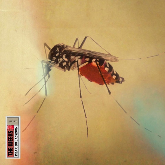 Cover artwork for Brother in the Night