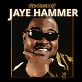 The Best of Jaye Hammer artwork