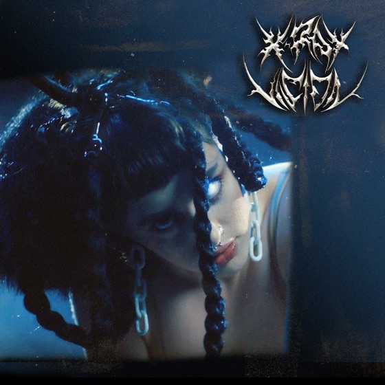 Cover artwork for x-ray vision