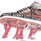 Yop - Jem Seidel lyrics