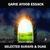 Qarie Ayoob Essack - Surah al Waqia