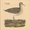 A 7th Minor - Jill Barber lyrics