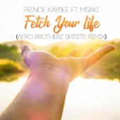 Fetch Your Life (Afro Brotherz Spirits Remix) [feat. Msaki] artwork