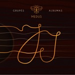 Ir Ne Sniego Tiek Daug