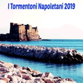 I tormentoni napoletani 2019 artwork