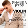 SHAKIRA  BZRP (Violin) - Single