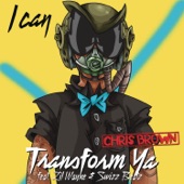 I Can Transform Ya (feat. Swizz Beatz & Lil Wayne) [Instrumental] artwork