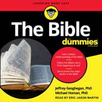 Jeffrey Geoghegan & Michael Homan - The Bible For Dummies artwork