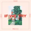 If We Try (feat. Marie Dahlstrom, Emily C Browning, Emmavie, Dani Murcia & The Naked Eye) - Single album lyrics, reviews, download