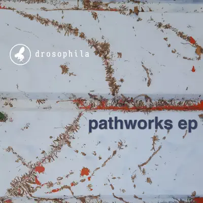 Pathworks EP - Drosophila