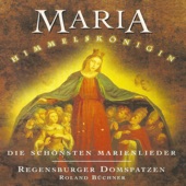 Marienlied für Chor: Gott hat dich, Maria, erwählt! artwork