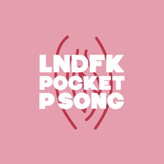 Cover artwork for Pocket P Song