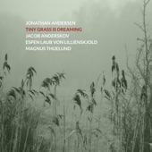 Tiny Grass Is Dreaming (feat. Espen Laub von Lillienskjold, Jacob Anderskov & Magnus Thuelund)