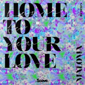 Home to Your Love (Raie Remix) artwork