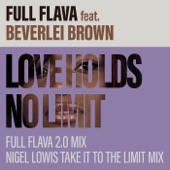 Love Holds No Limit (Nigel Lowis Take It To the Limit Mix) [feat. Beverlei Brown] artwork