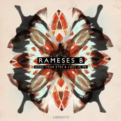 Open Your Eyes Ep - Liquicity Presents) by Rameses B album reviews, ratings, credits