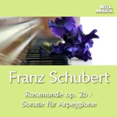 Zwischenakt Musik No. 1 für Orchester zum Schauspiel "Rosamunde, Fürstin von Zypern", Op. 26: Allegro molto moderato artwork