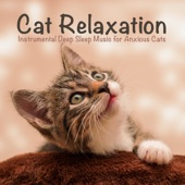Cat Relaxation: Instrumental Deep Sleep Music for Anxious Cats artwork