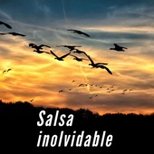Salsa Inolvidable artwork