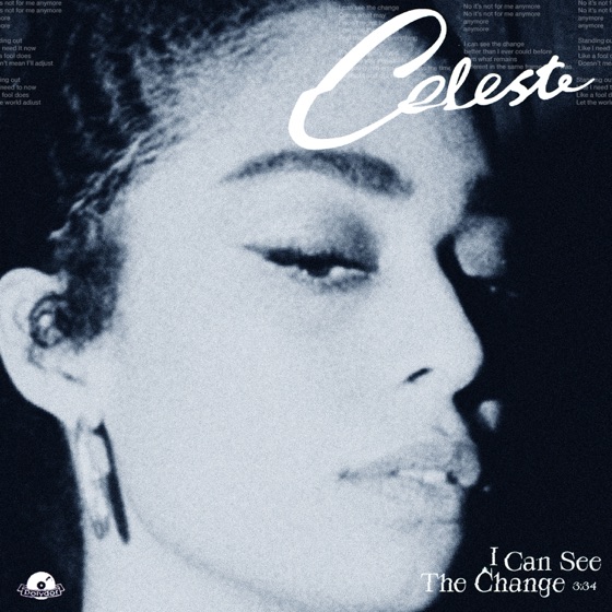 Cover artwork for I Can See The Change