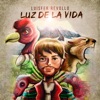 Luz de la Vida - Single