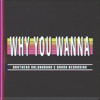 Why You Wanna - Single