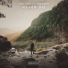 Never Die (feat. Sam Knight) - Single