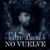 Si Tu Amor No Vuelve artwork