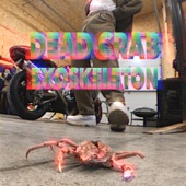 Reu - Dead Crab Exoskeleton