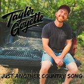 Just Another Country Song artwork