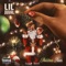 Christmas Trees - Lil Duval lyrics