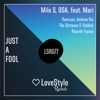 Just a Fool (feat. Mari) [Remixes] - EP, 2015