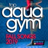 Top Aqua Gym Fall Songs 2019 (15 Tracks Non-Stop Mixed Compilation for Fitness & Workout 128 Bpm / 32 Count)